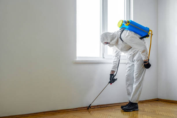 Best Fumigation Services  in Spearville, KS